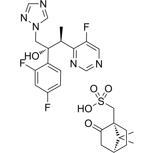 Voriconazole camphorsulfonate 137234-71-0